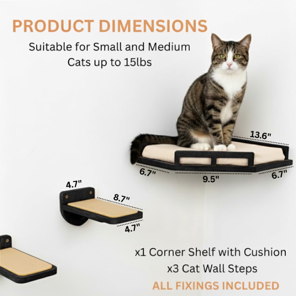 INICIO cat wall shelves birch wood finish complements modern decor