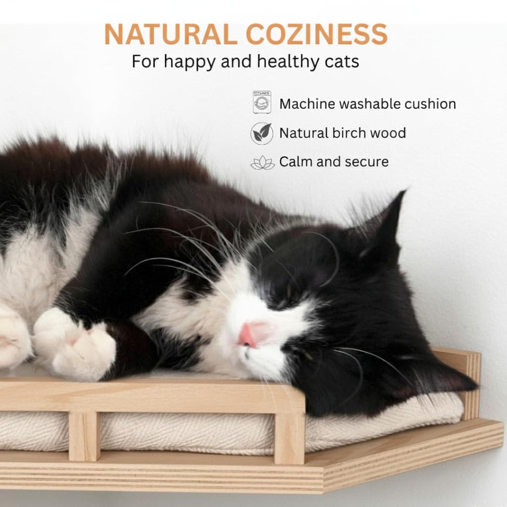 INICIO Cat Wall Shelves Modern aesthetic — blends with contemporary home décor