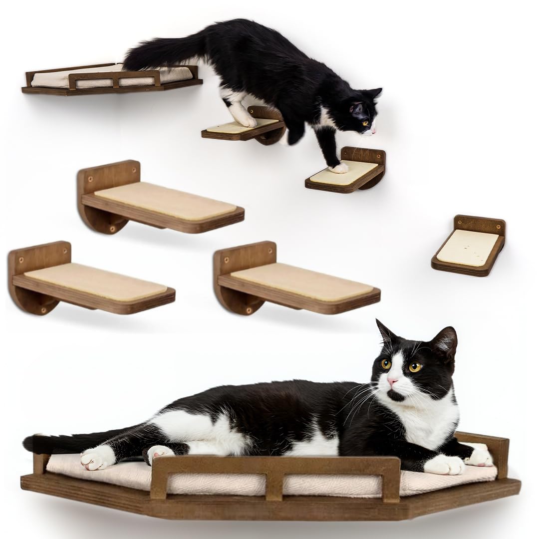 INICIO cat wall shelves modern birch perch offers a sturdy resting spot for cats.
