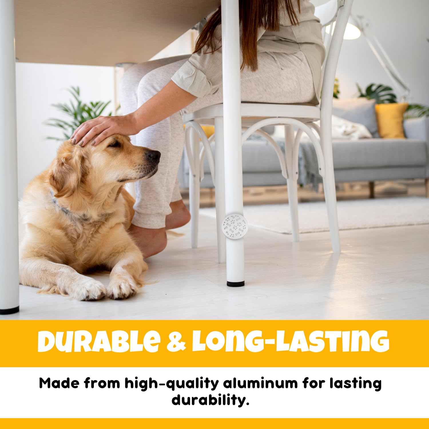 Ink Oil Magnets for Easy Hide create challenging nosework scenarios indoors or outdoors.