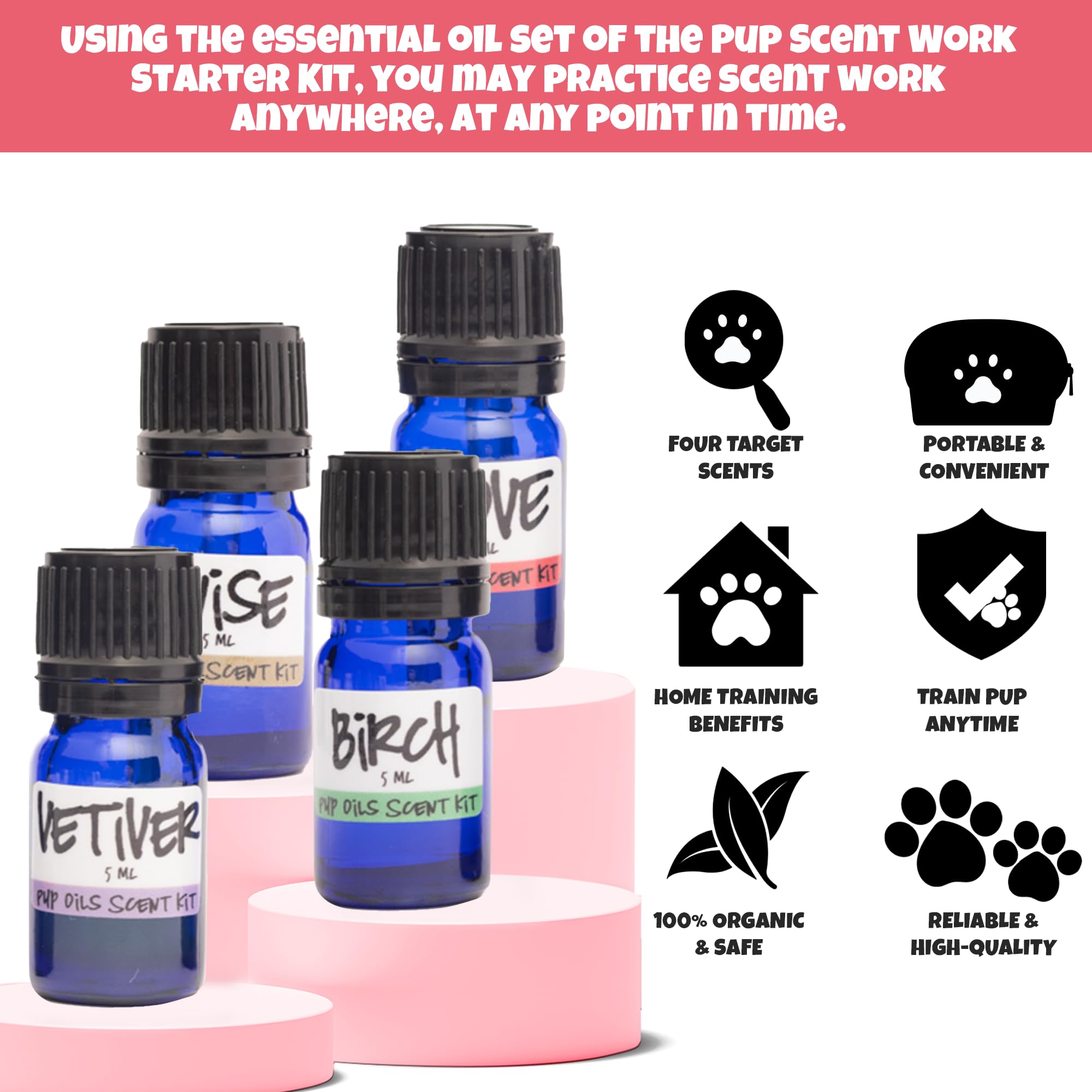 Ink Oil Pup Scent Work Kit fragrance vials provide varied scents for focused nosework sessions.
