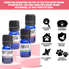 Ink Oil Pup Scent Work Kit fragrance vials provide varied scents for focused nosework sessions.