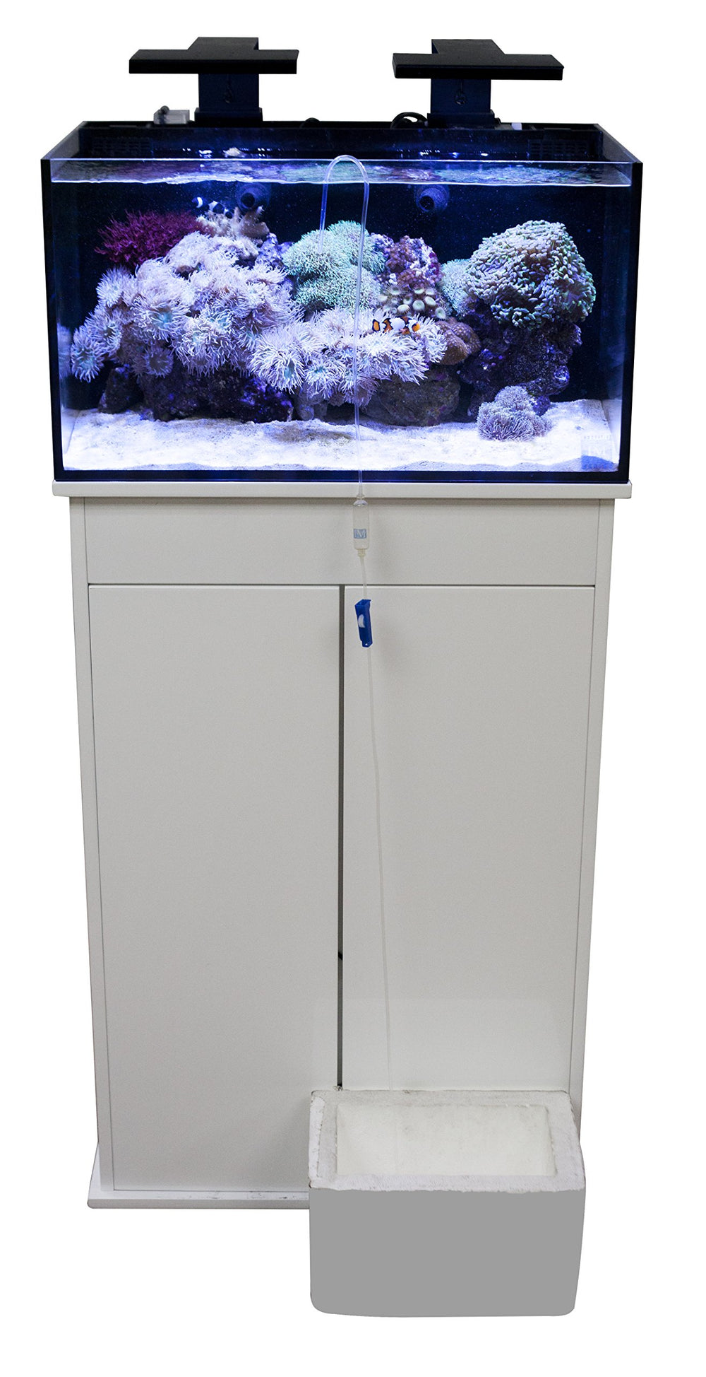 Innovative Marine Accudrip Acclimator in-tank installation with drip lines visible.