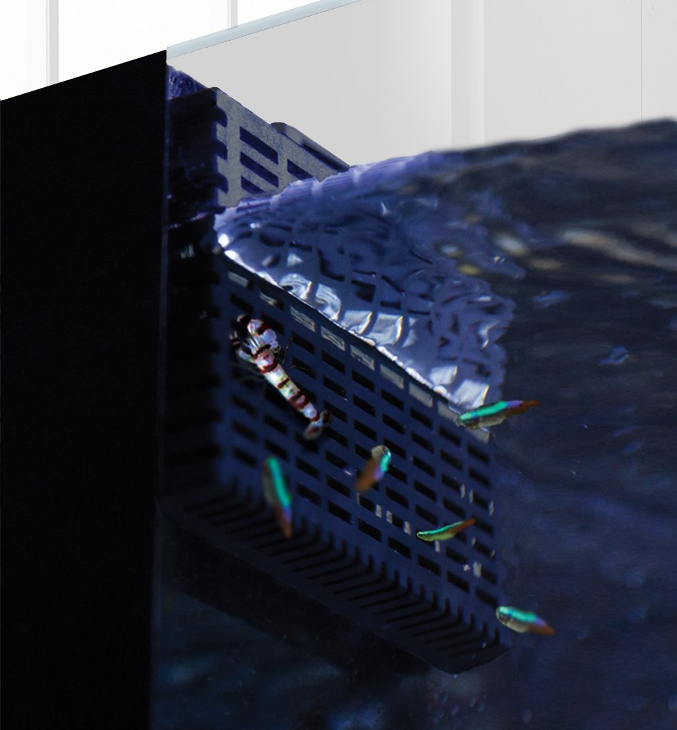 Innovative Marine Fish Guard 2-pack offers two guards for practical overflow coverage.
