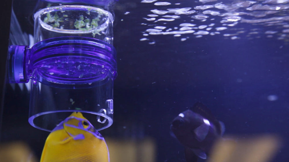 Innovative Marine Gourmet Gadget Defroster PRO directs water flow for even dispersion.