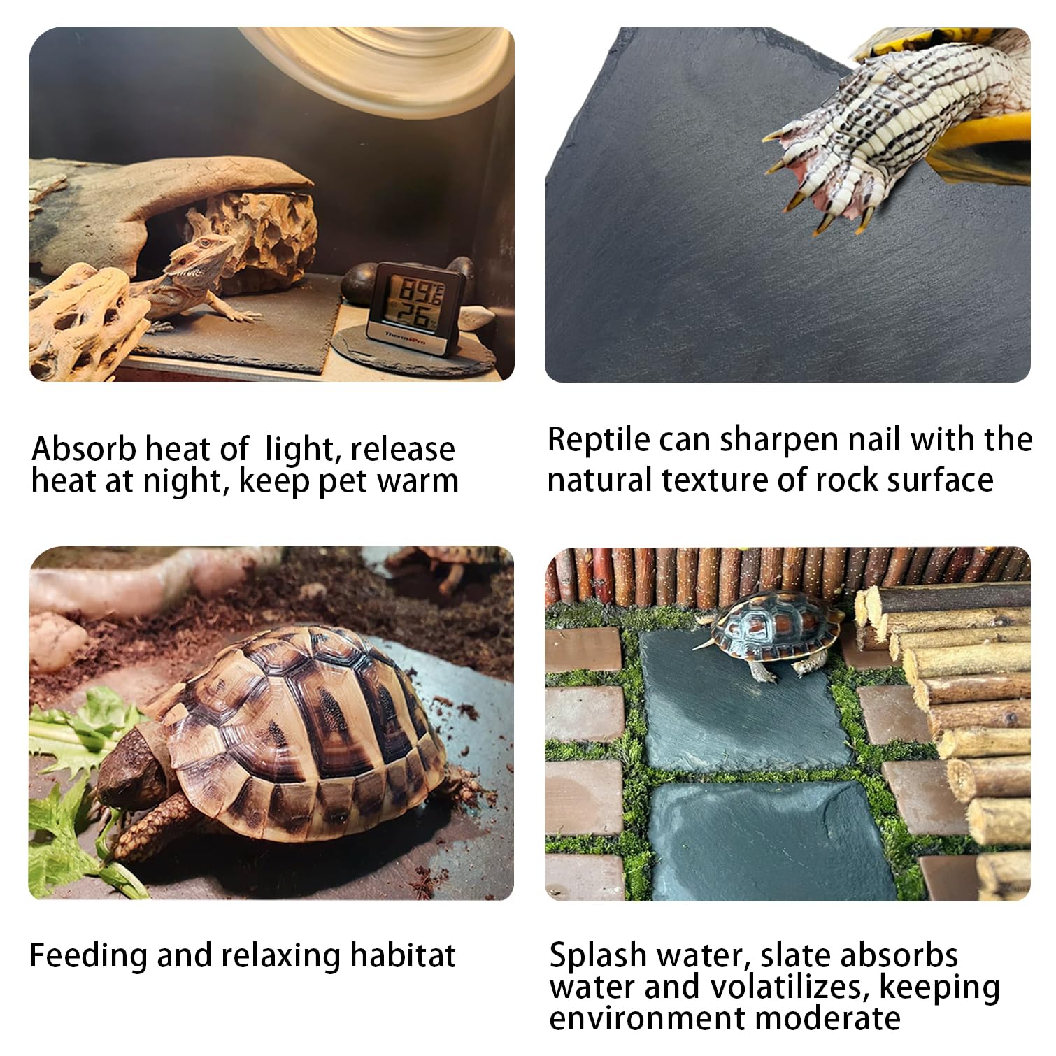 INOSCIND bearded-dragon-slate-basking highlights comfortable sunning and heat access.