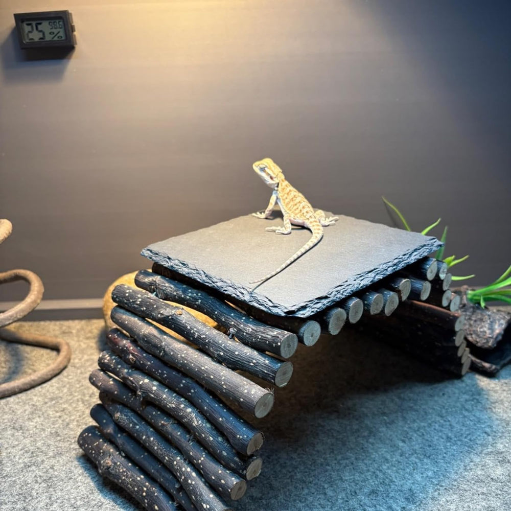 INOSCIND-reptile-slate-heat-absorption delivers warmth across the enclosure.