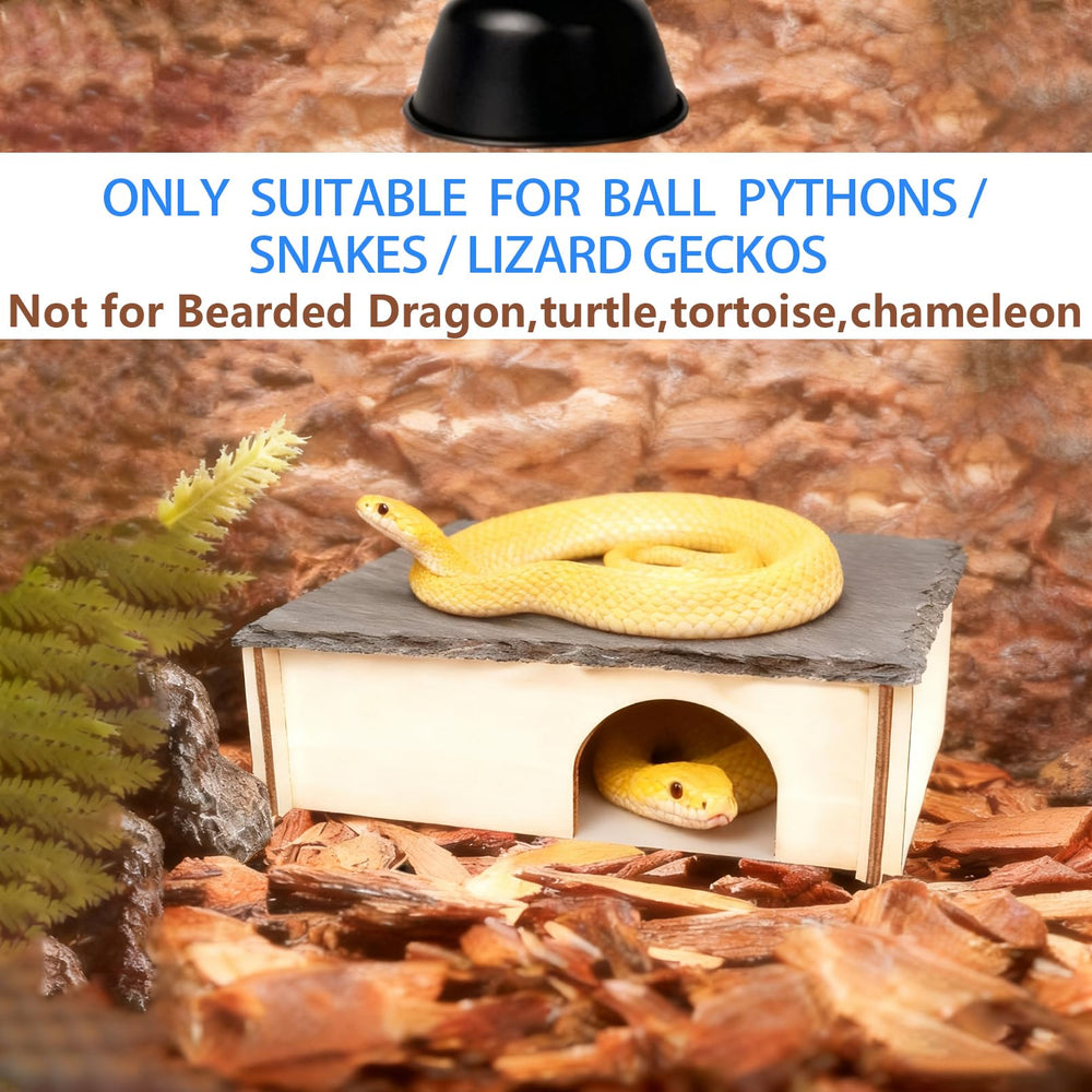 INOSCIND XL slate reptile hide in use shows spacious shelter for geckos and snakes