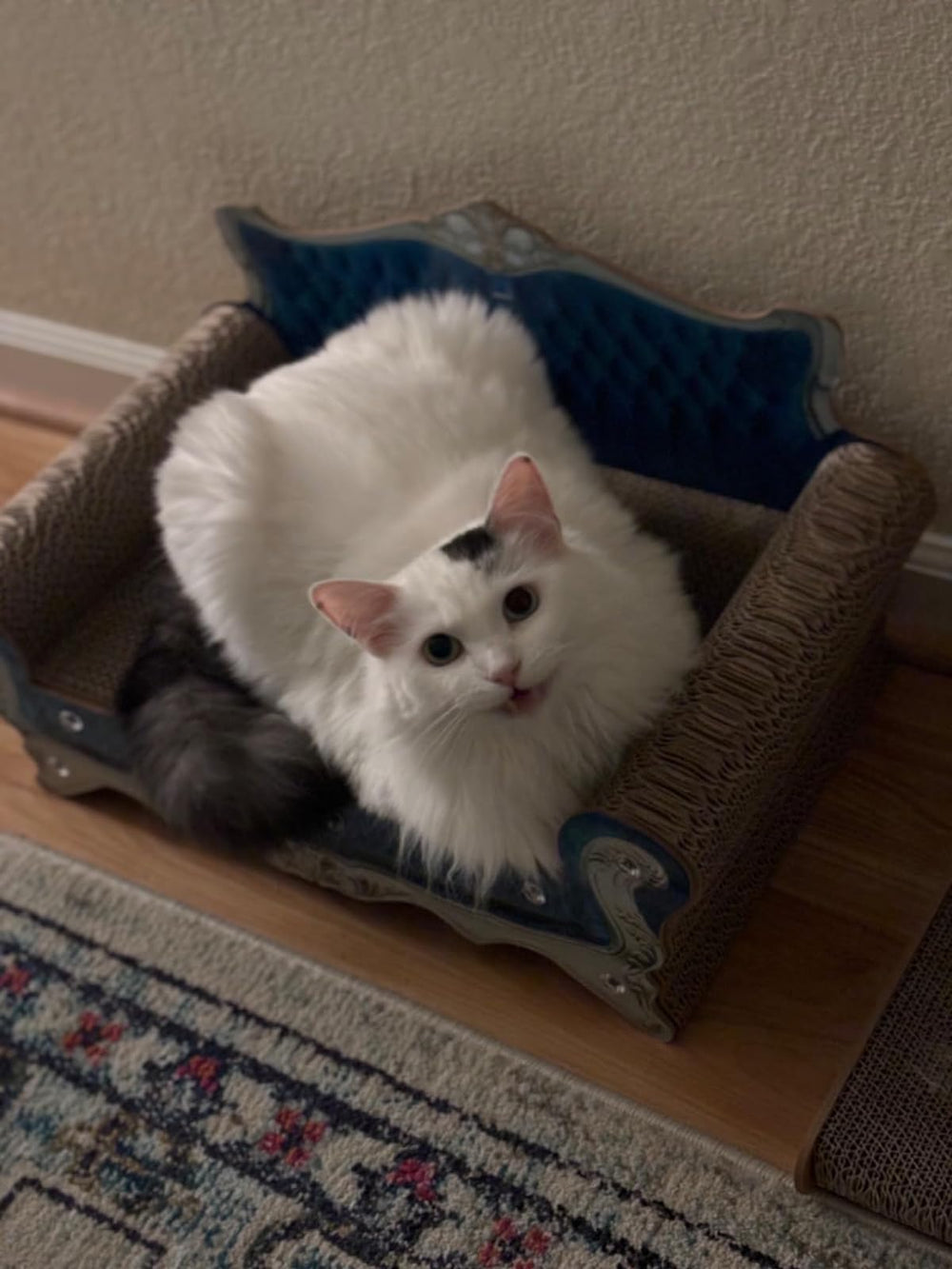 INRLKIT unboxing experience – cat-proof packaging and ready-to-use scratcher.