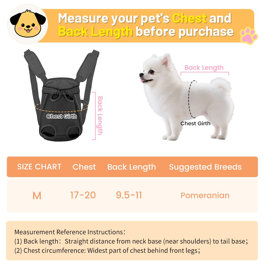 Inspack dog backpack back view—hands-free design for scenic hikes.