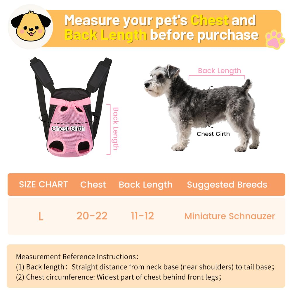 Inspack dog backpack carrier back view shows comfortable support for pets.