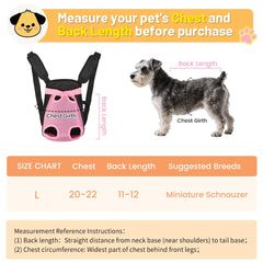 Inspack dog backpack carrier back view shows comfortable support for pets.
