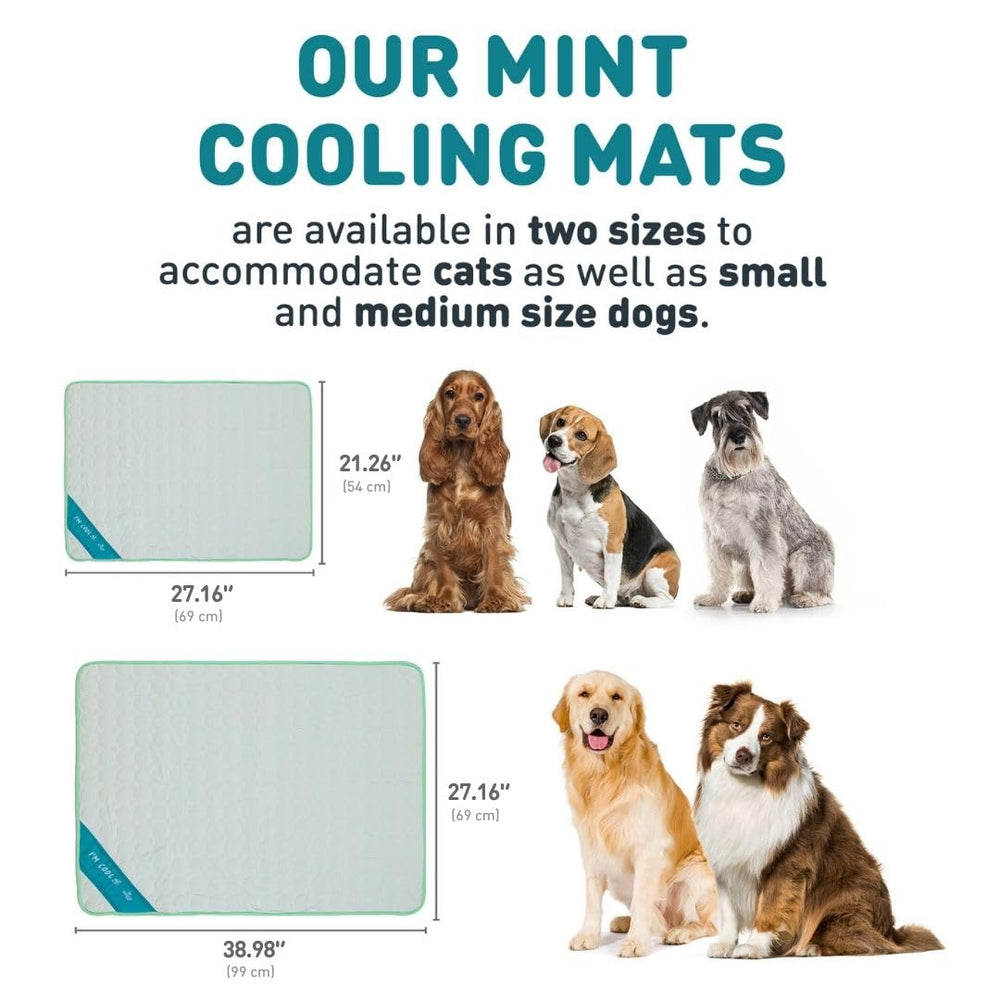 INSPECTOR TAIL ChillPocket mesh bottom disperses heat to keep pets relaxed.
