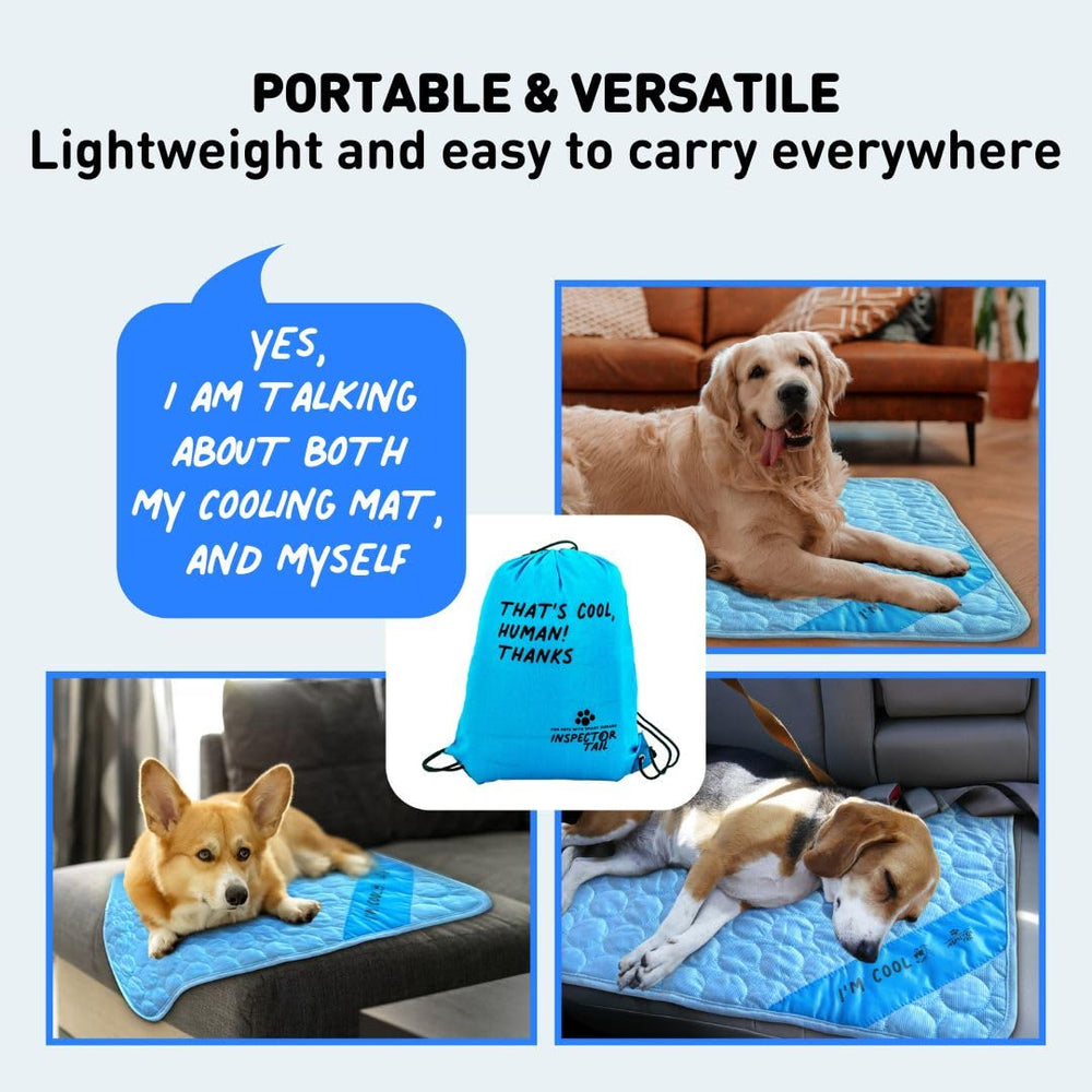 INSPECTOR TAIL travel pack mat blue offers convenient storage and quick setup.
