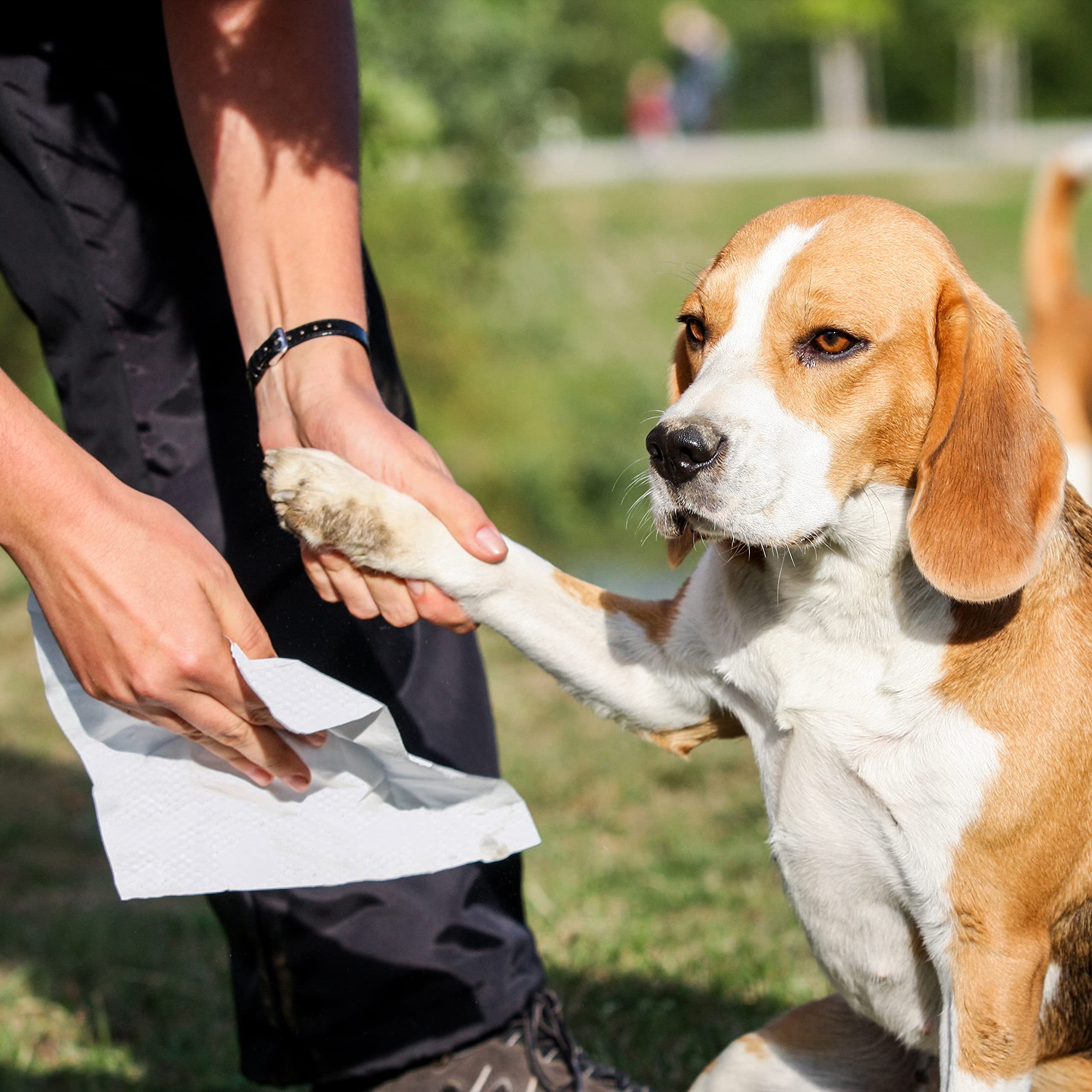 Inspire Naturals pet wipes on body and fur for fresh grooming.