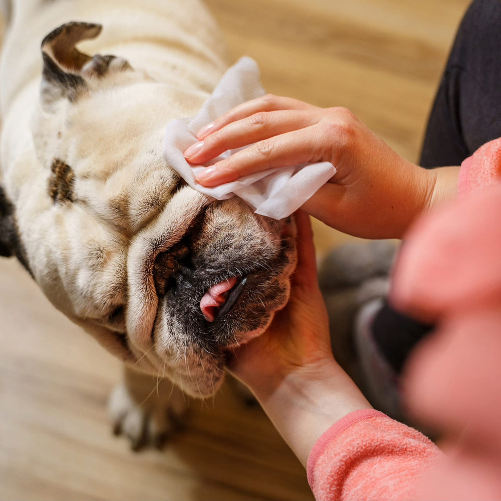 Inspire Naturals compostable wipes support earth-friendly pet care.