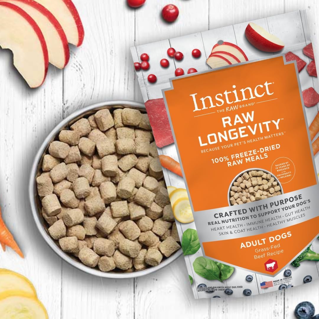 Instinct Nature's Variety NV Dog Longevity Freeze Dried Beef closeup shows protein-rich crunch