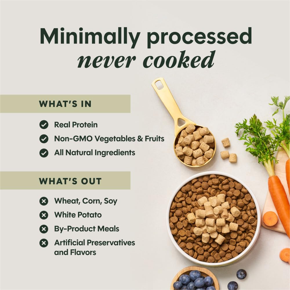 Instinct Raw Boost Mixers grain-free recipe presentation in dish boosts appeal