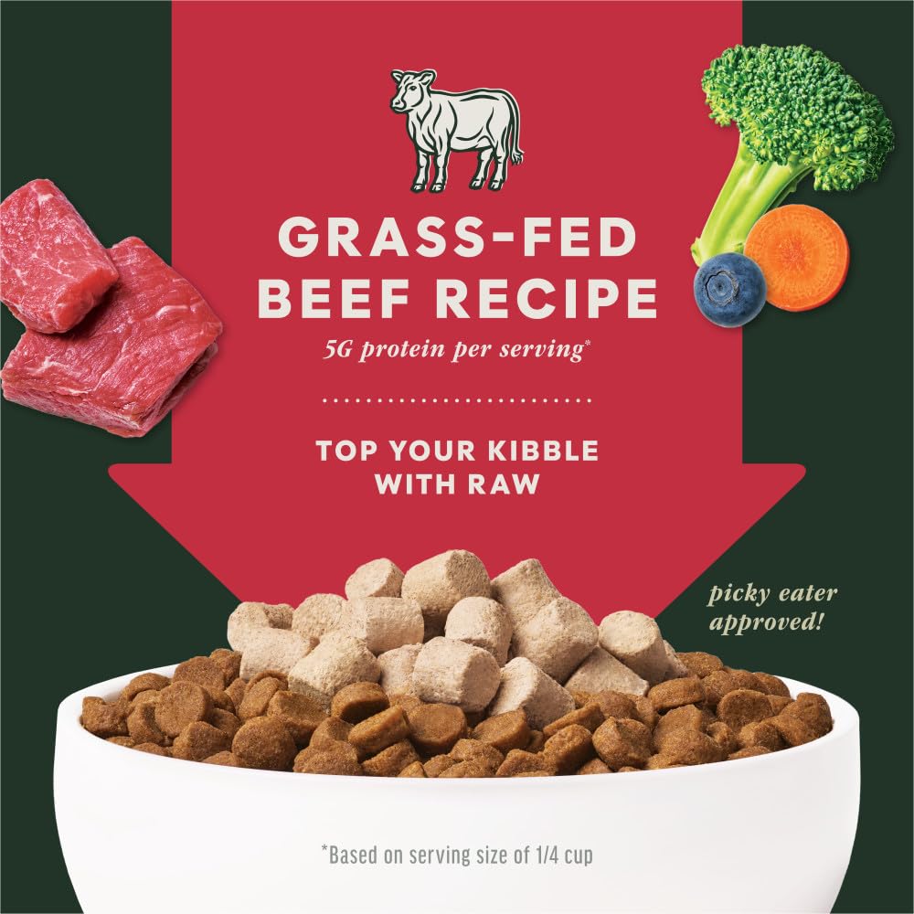 Instinct Raw Boost Mixers dog eating topping enhances mealtime variety and aroma