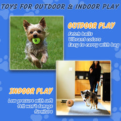 INSUM dog fetch balls – close-up showing durable rubber and needle-felt surface.