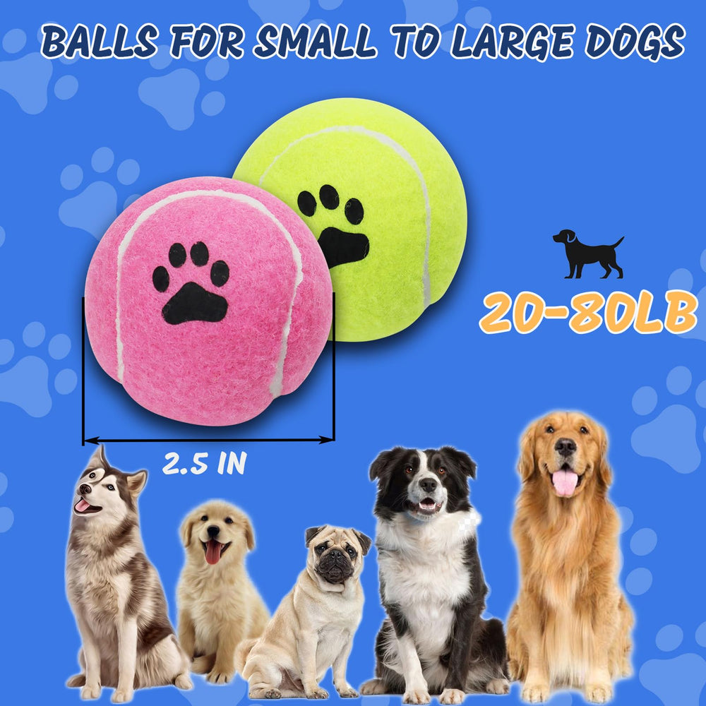 INSUM non-toxic dog balls – SGS compliant for safe play and training sessions.
