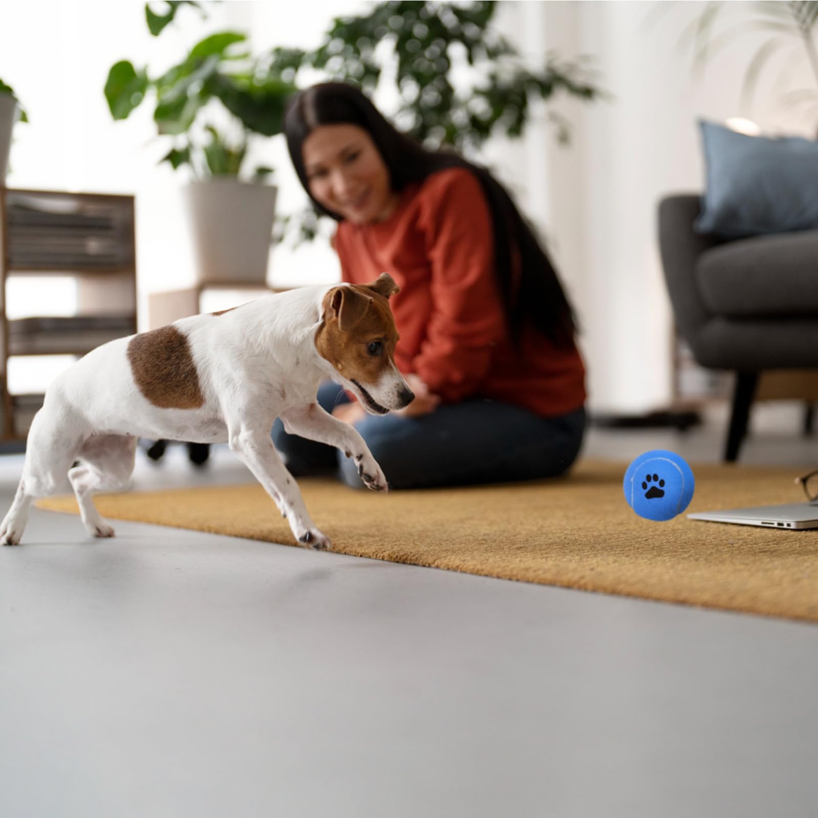 INSUM nonsqueaky dog balls – quiet play suitable for training and recreation.