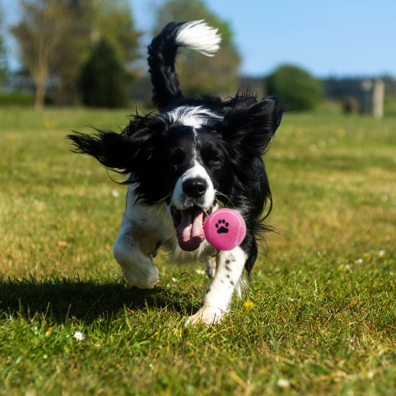 INSUM reusable mesh bag – portable storage for park or backyard fetch sessions.
