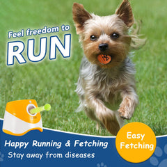 INSUM balls in bright colors improve visibility during outdoor fetch.
