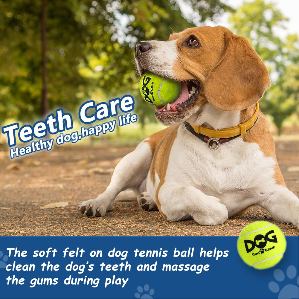 INSUM Squeaky Ball durable non-toxic rubber with balanced bounce for safe play