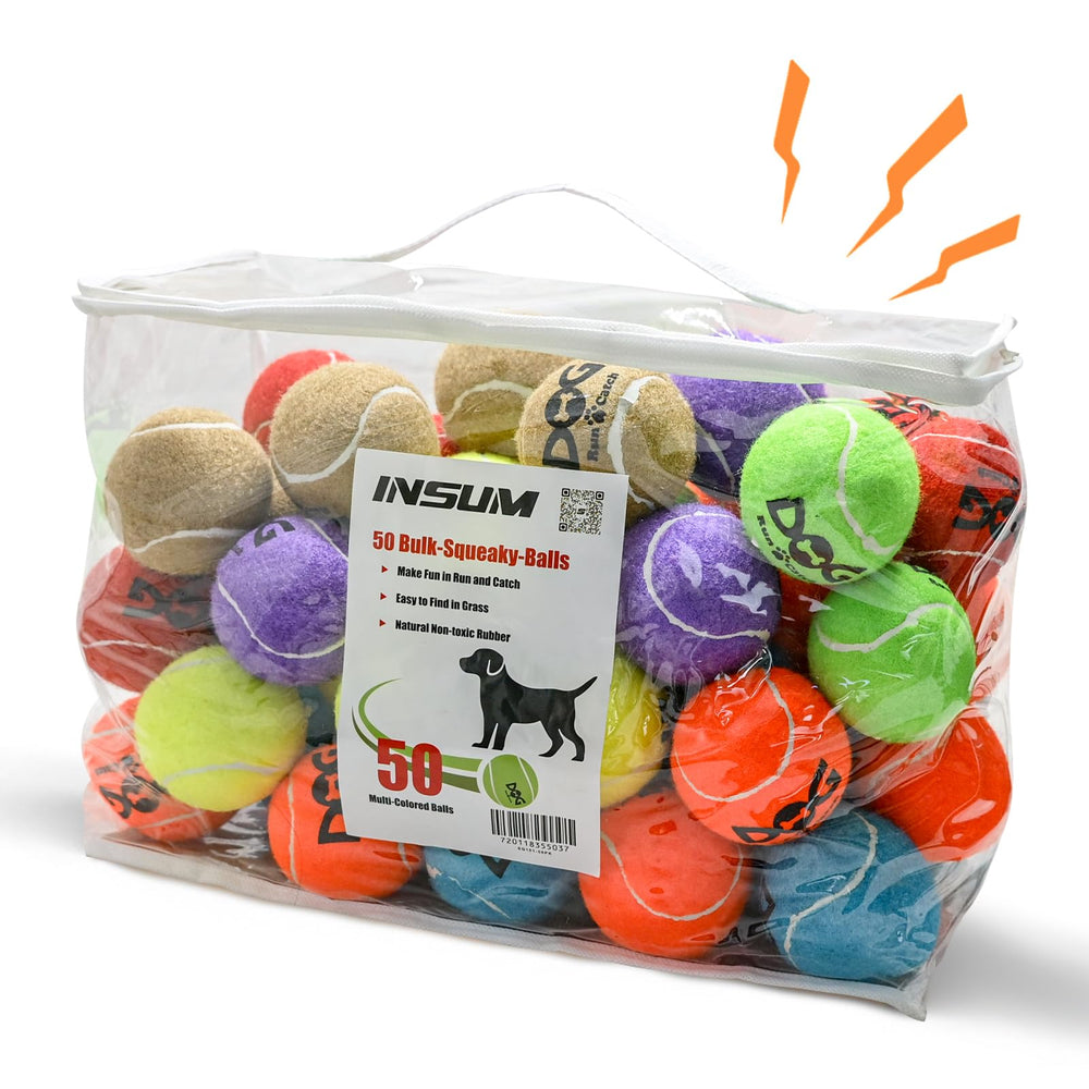 INSUM squeaky tennis ball—dogs outdoors for high-visibility fetch in bright daylight.
