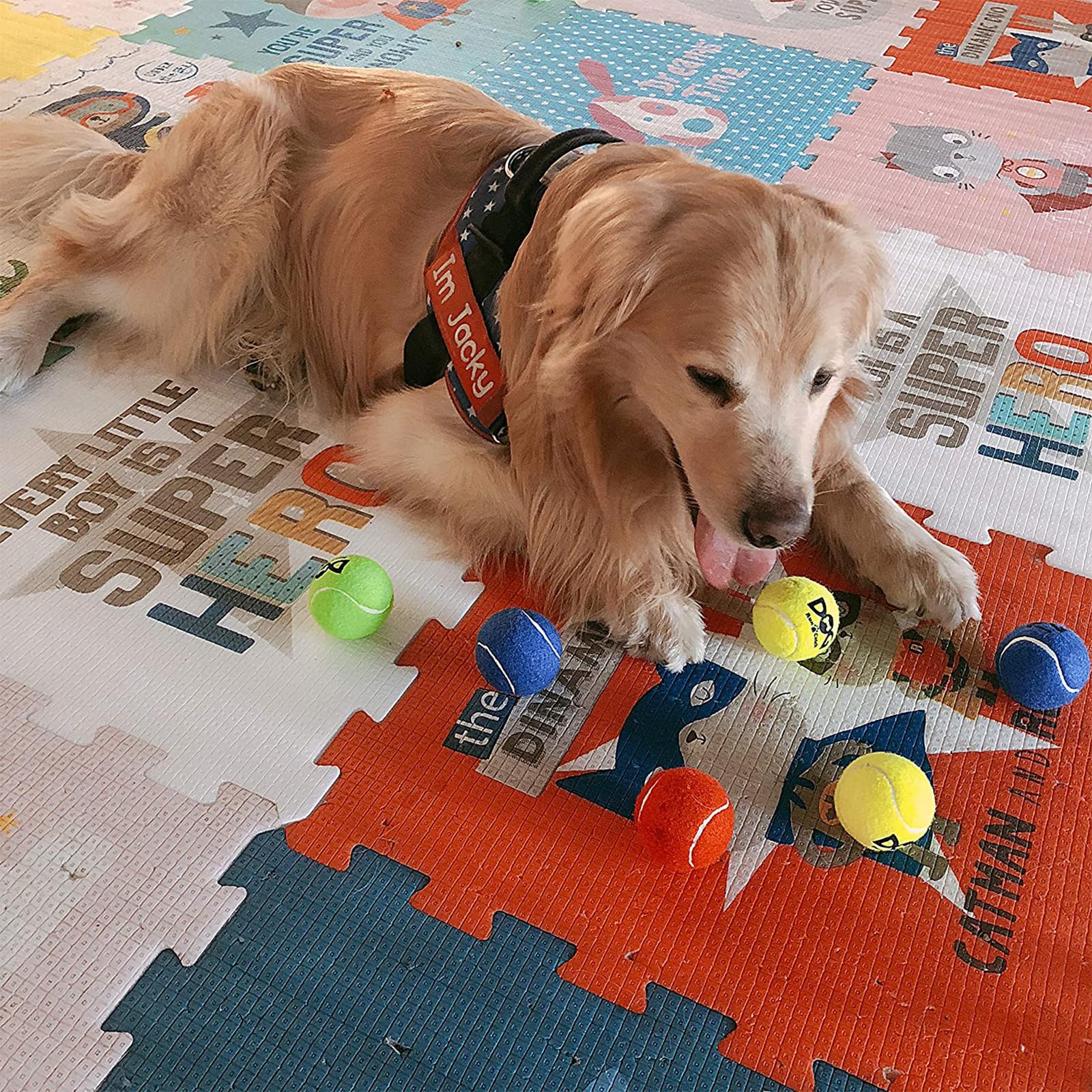 INSUM squeaky tennis ball—SGS-certified quality supports reliable outdoor play.