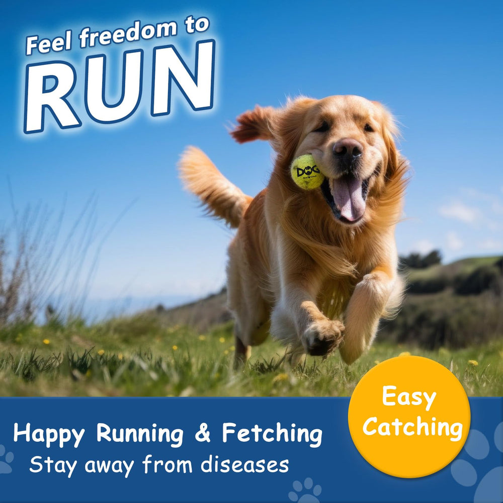 INSUM dog balls 2.5-inch, optimized bounce for reliable mid-air catches