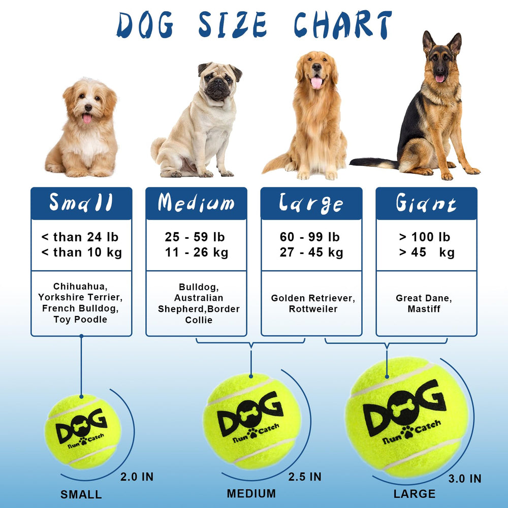 INSUM dog fetch balls, durable core and surface