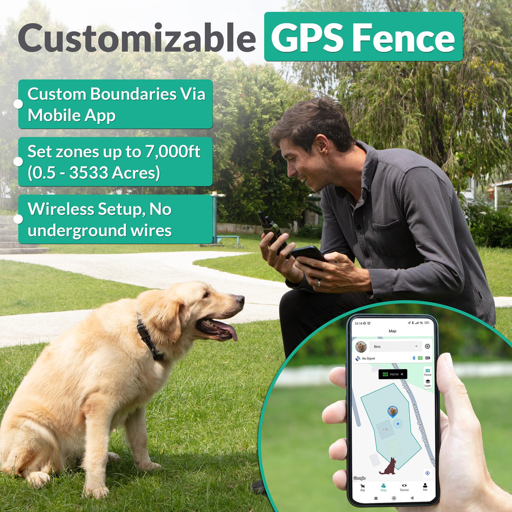 INTELIPAWS activity tracking screen displays steps, distance, and calories for an active lifestyle.