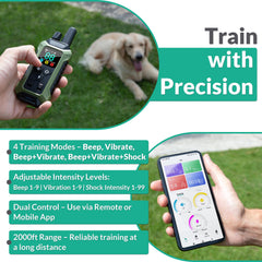 INTELIPAWS training modes remote control enables gentle training with multiple options.