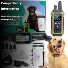 INTELIPAWS real-time-tracking-map demonstrates live dog location without subscription on the connected app.