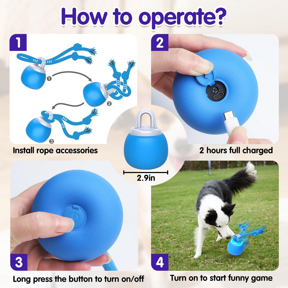 Interactive dog ball's durable shell supports chewing and long-lasting play.