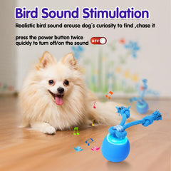 Interactive dog ball mode switch adapts to dog energy levels for versatile play.