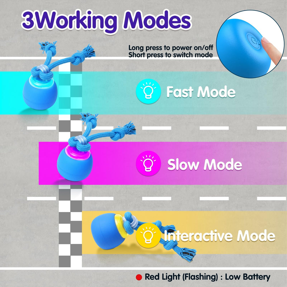 Interactive dog ball rolling action supports chase play and exercise.