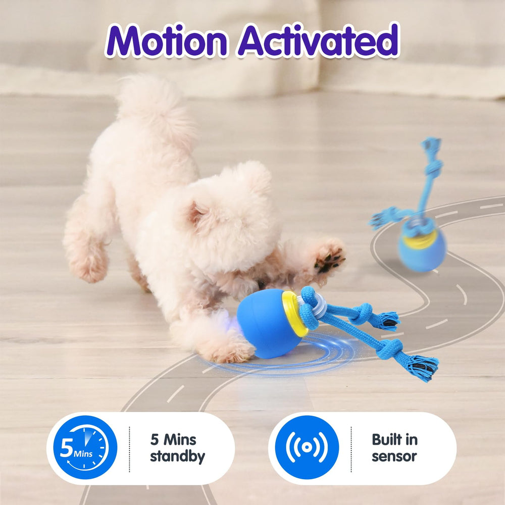 Interactive dog ball chirp sound enhances auditory stimulation and engagement.