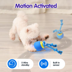Interactive dog ball chirp sound enhances auditory stimulation and engagement.
