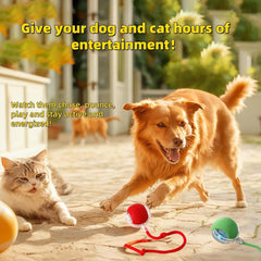 Rechargeable battery powers extended play sessions for the Interactive Dog Cat Toy Ball.