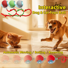 Replacement tail included for longer, varied play with the Interactive Dog Cat Toy Ball.
