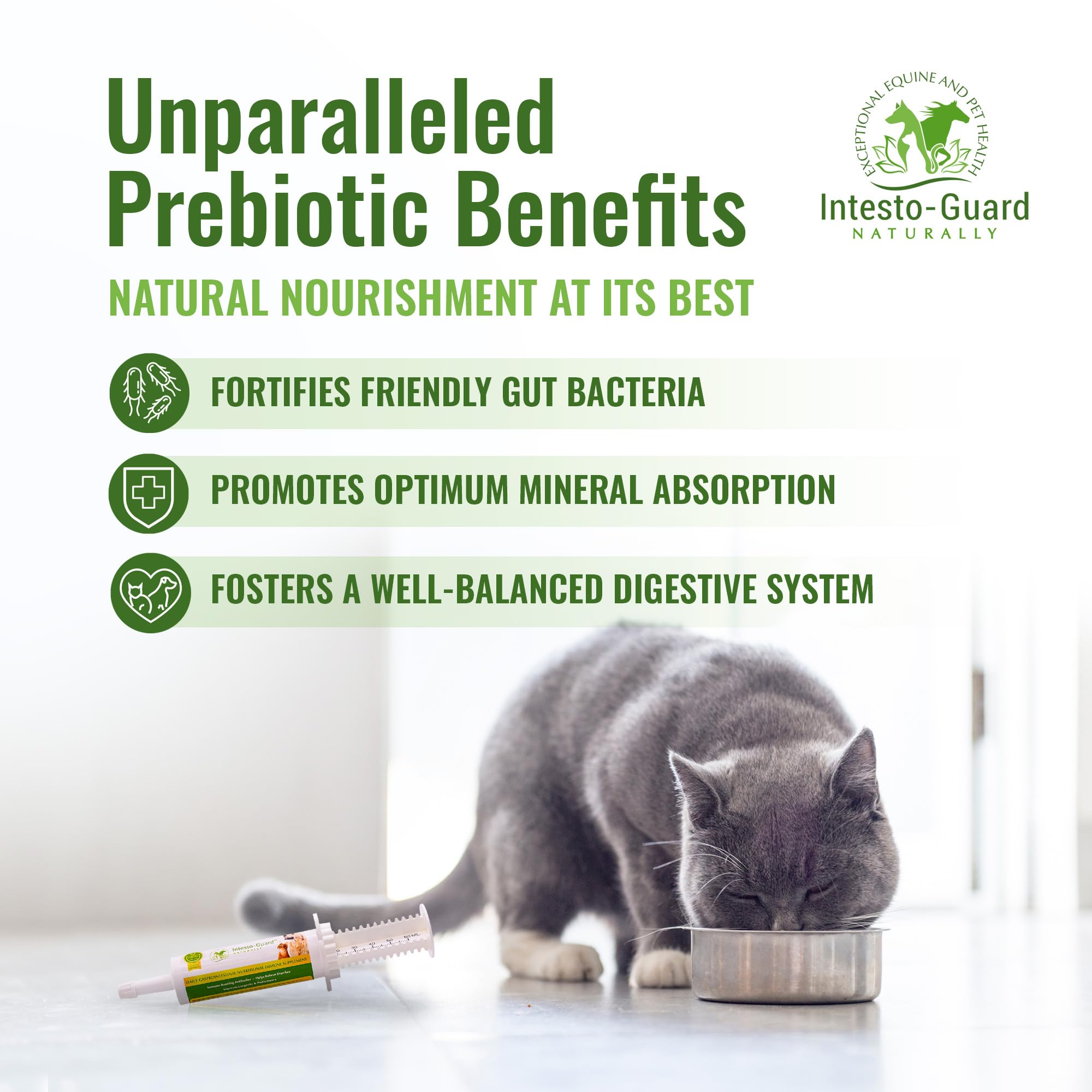 INTESTO-GUARD paste mixed into dog's meal during a feeding.
