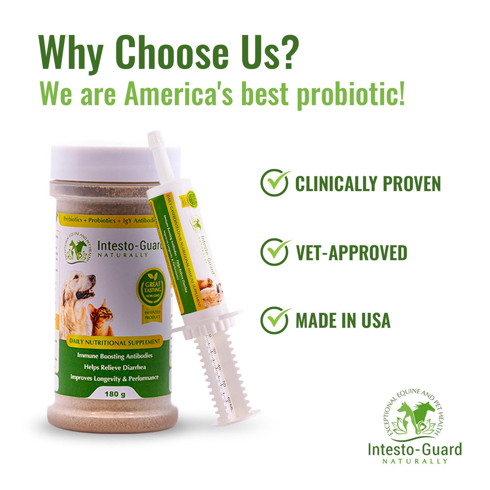 INTESTO-GUARD dog-friendly serving setup for easy daily use.