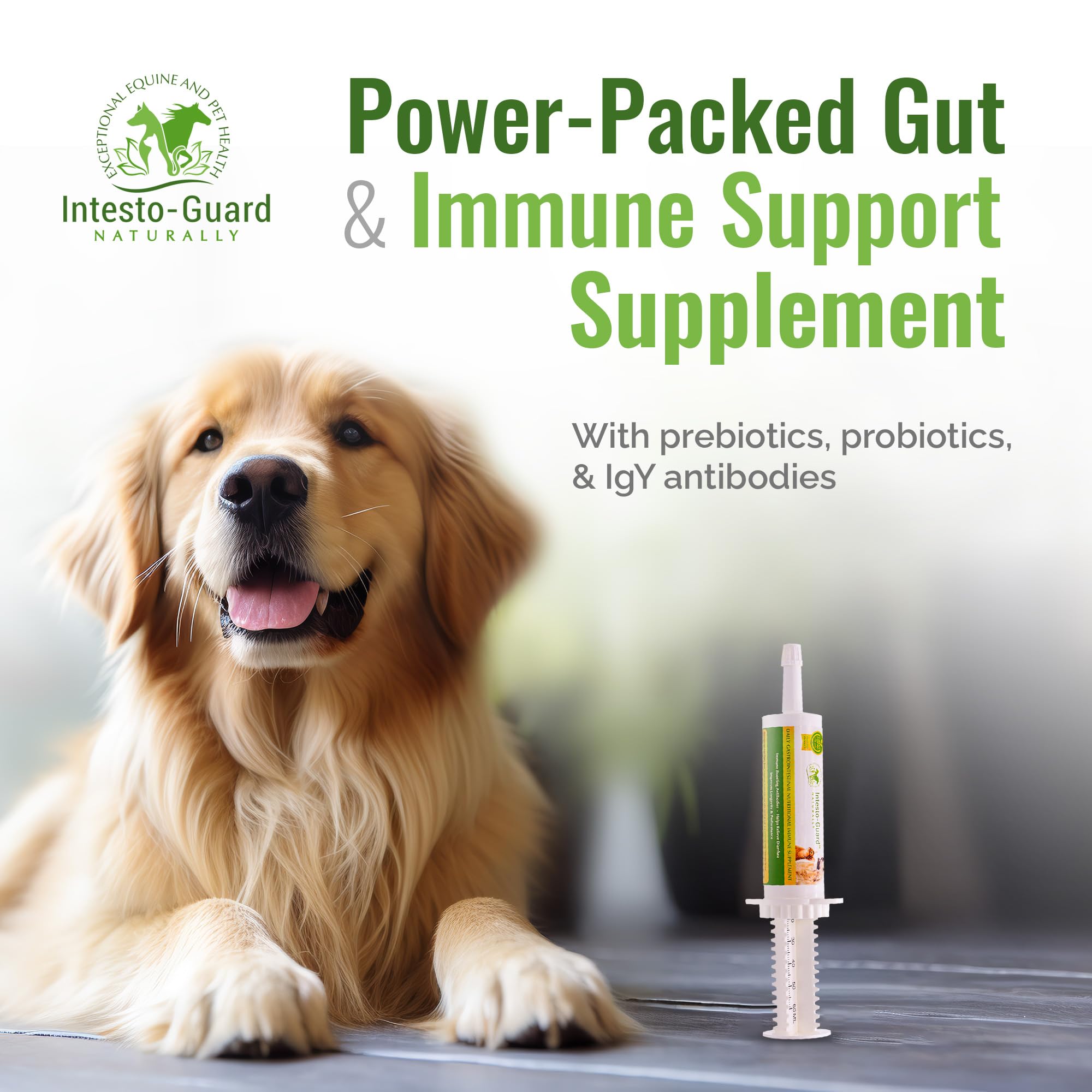 INTESTO-GUARD dosing syringe shown for precise administration.
