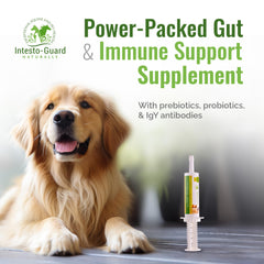 INTESTO-GUARD dosing syringe shown for precise administration.