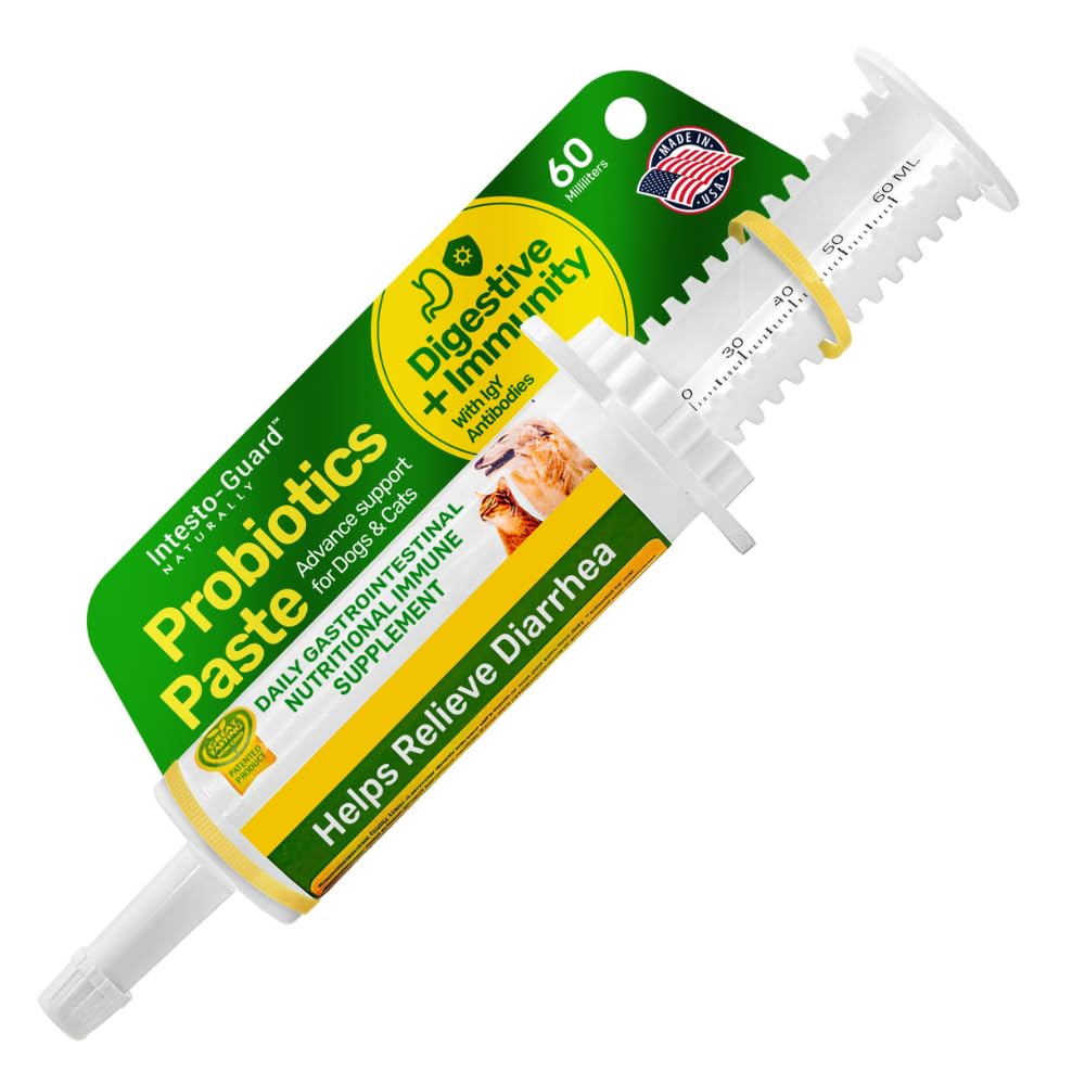 INTESTO-GUARD probiotic paste tube for easy gut support.