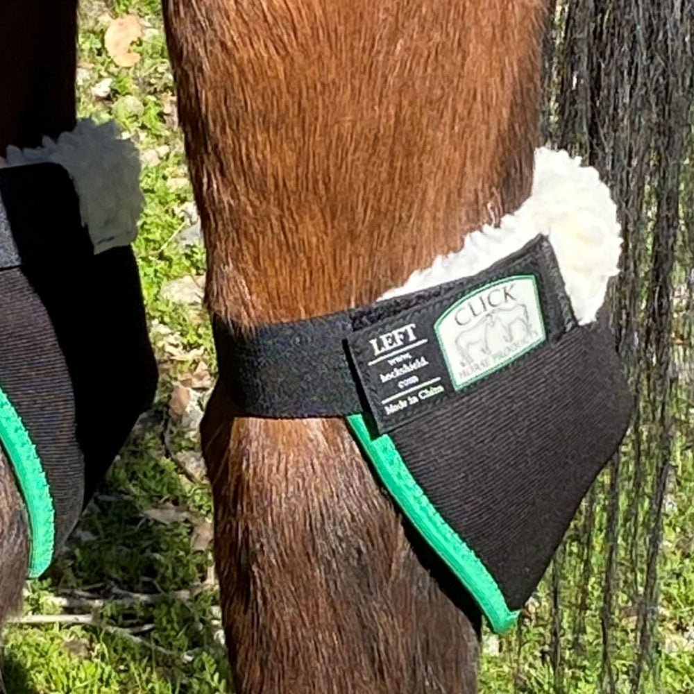 Intrepid International Click Horse Hock Shield worn on horse leg during turnout