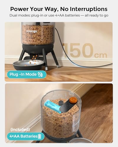Invengo automatic cat feeder with 6 meals per day supports structured routines.